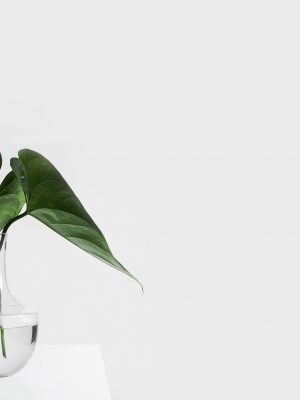 sarah-dorweiler-211779-unsplash